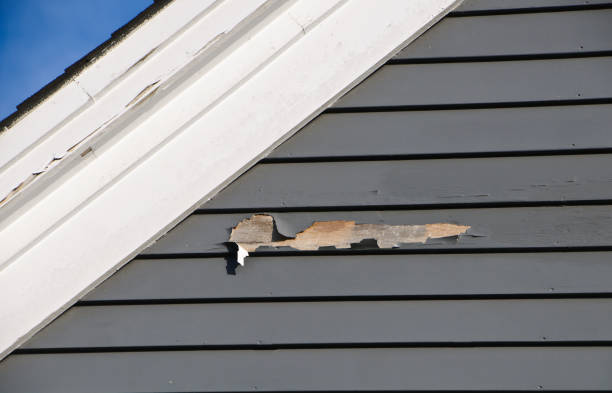 How To Choose The Right Materials for Your Siding Installation in 'Elm City, NC